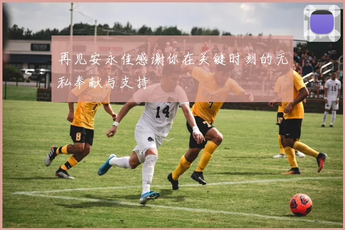 再见安永佳感谢你在关键时刻的无私奉献与支持