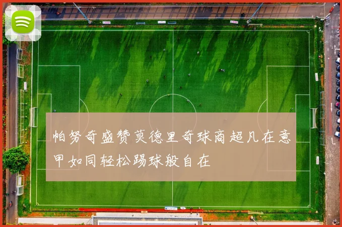 帕努奇盛赞莫德里奇球商超凡在意甲如同轻松踢球般自在