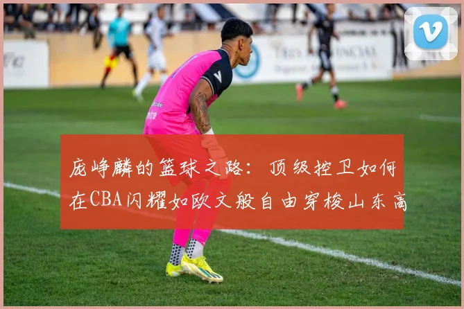 庞峥麟的篮球之路：顶级控卫如何在CBA闪耀如欧文般自由穿梭山东高速